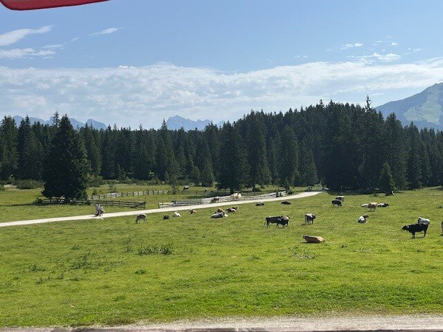 Appartementanlage Kerber主图