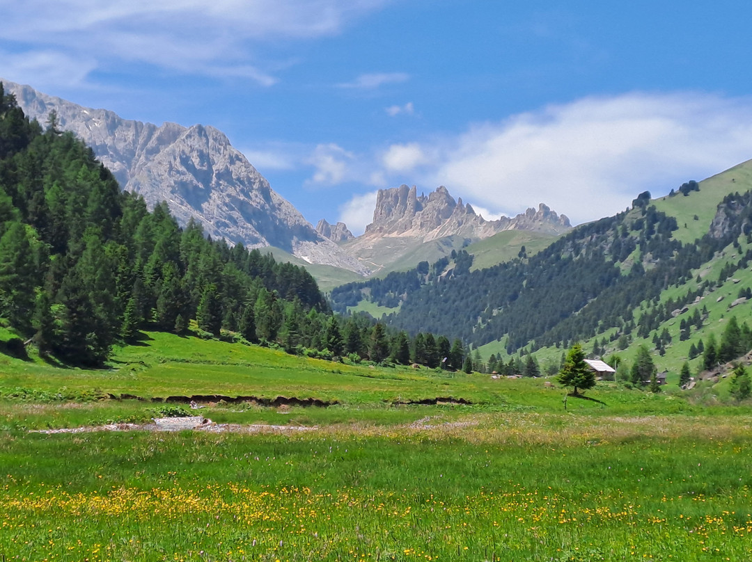 Alpen Hotel Panorama主图