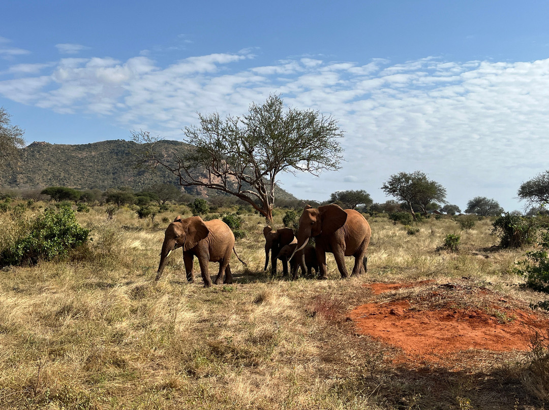 KLM Tours & Safaris-山祖必去景点