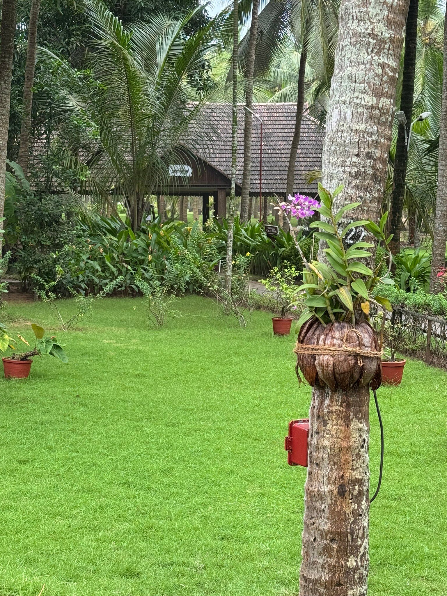 The Nattika Beach Resort-官方