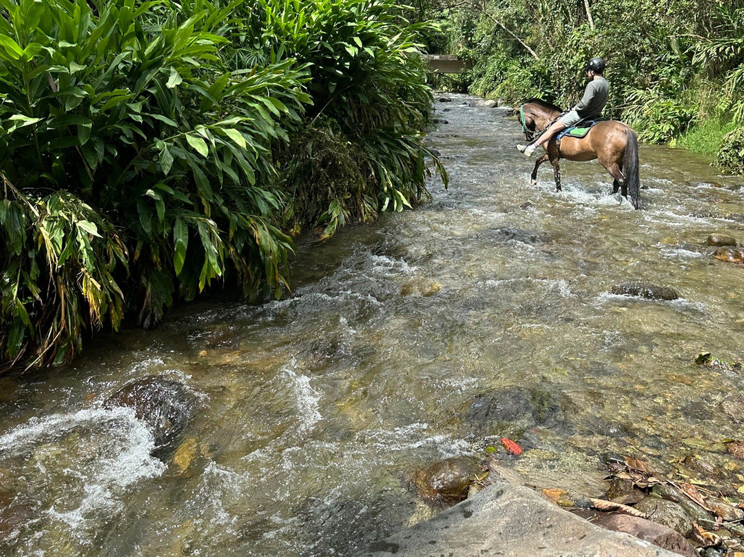 Terasu Salento Hotel Boutique主图