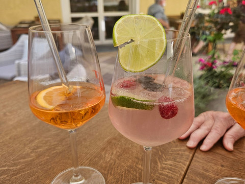 慕尼黑梅斯普瑞兹根特酒店主图