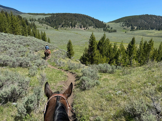 Yellowstone Rough Riders-西黄石镇必去景点