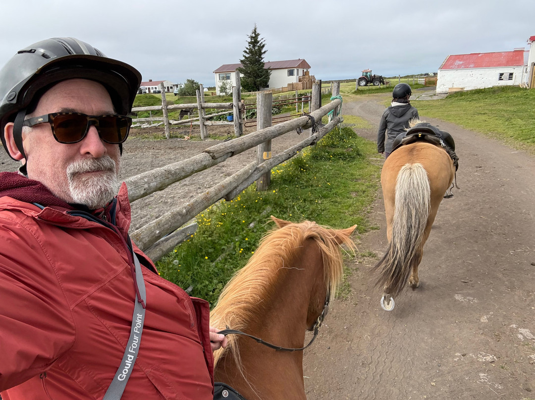 Lava Horses-胡萨维克必去景点