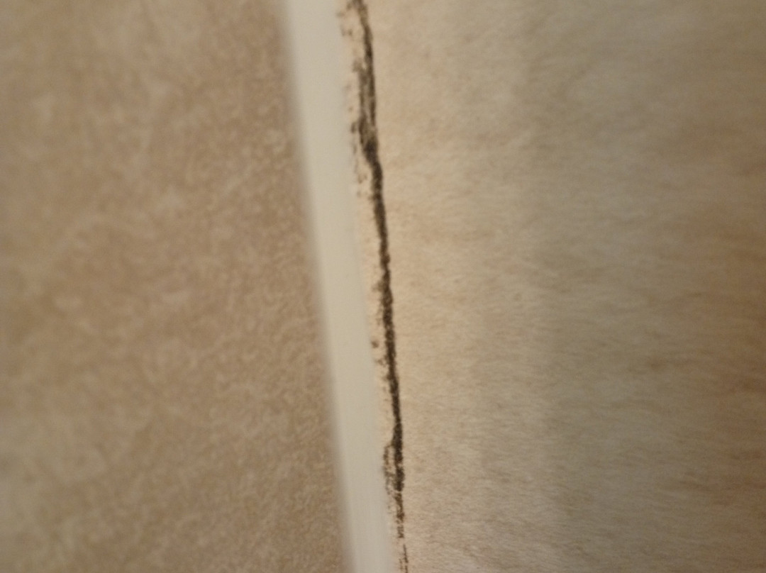 Hotel Ysenburger Hof主图