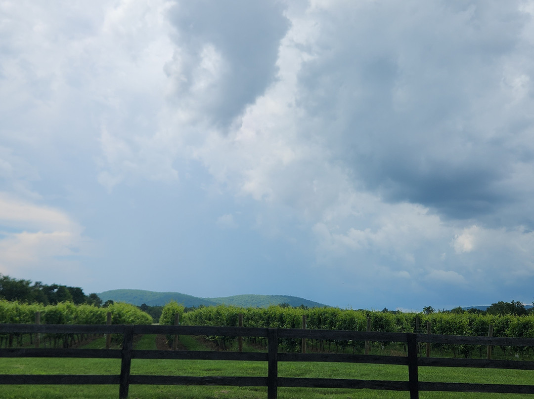 Merrie Mill Farm & Vineyard