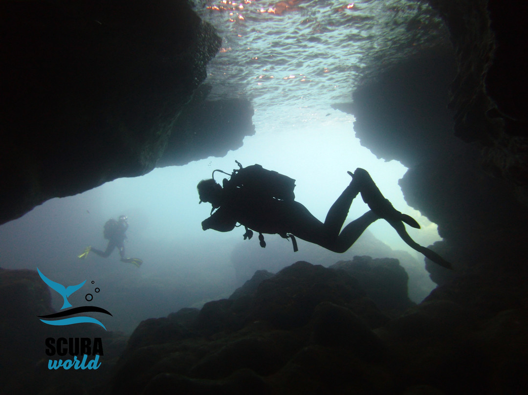 Scuba World Diving Center-阿吉亚玛丽娜必去景点