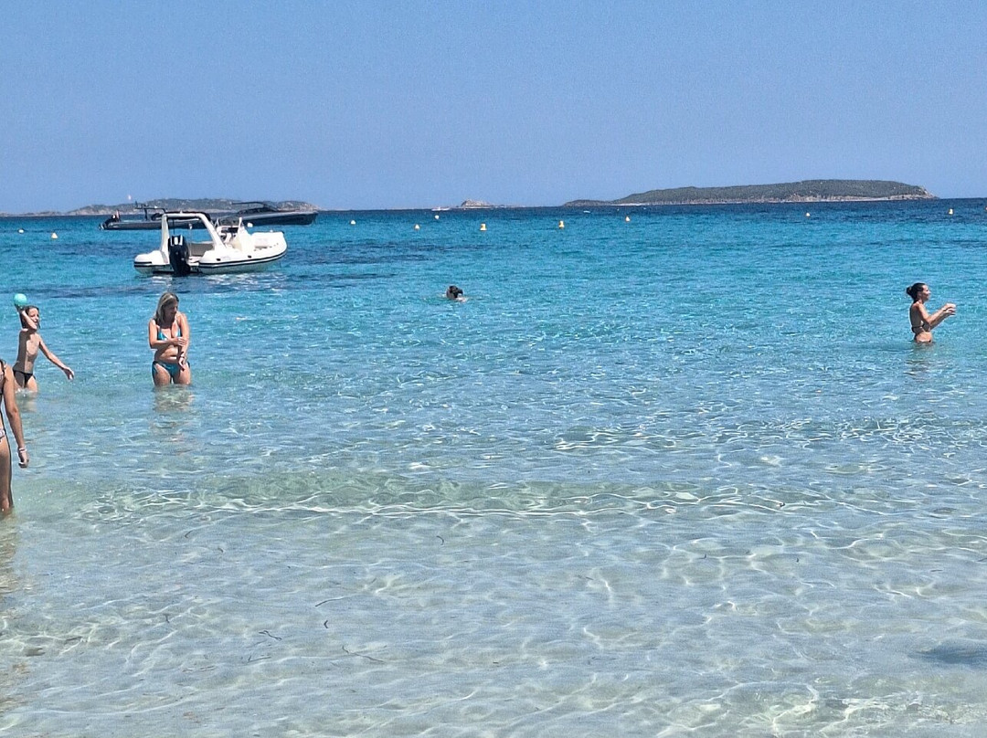 Plage de Tamaricciu-维琪奥港必去景点