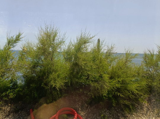 Cascais Train Station-卡斯凯什必去景点