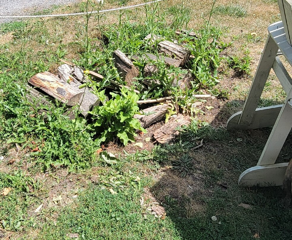 Kinsip House of Fine Spirits-Bloomfield必去景点