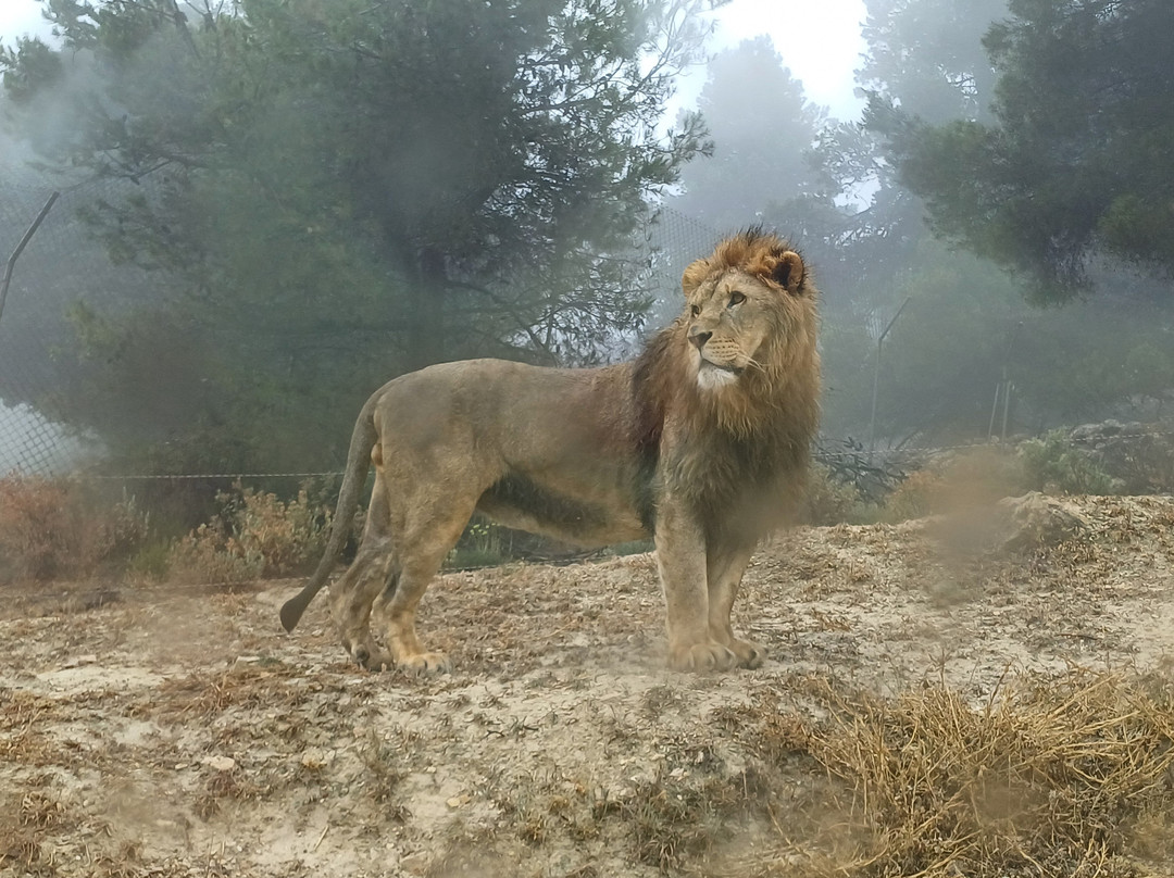 Safari Aitana-Penaguila必去景点