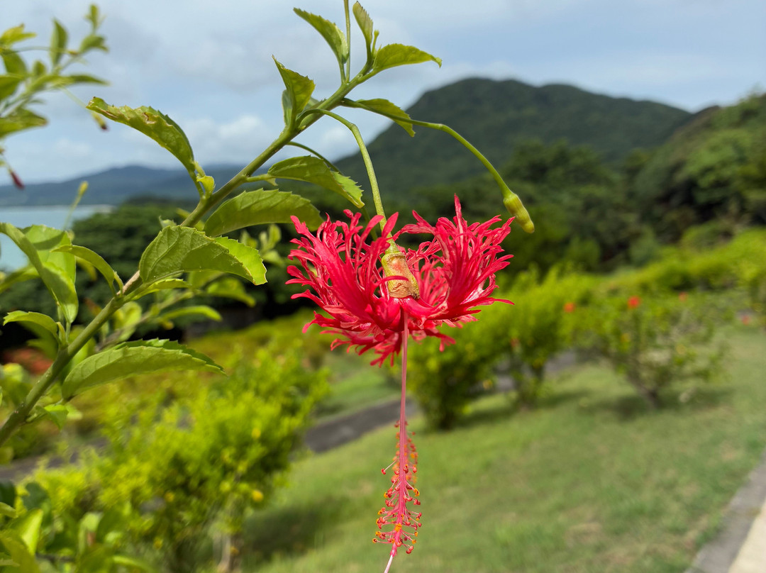 玉取崎展望台-石垣市必去景点
