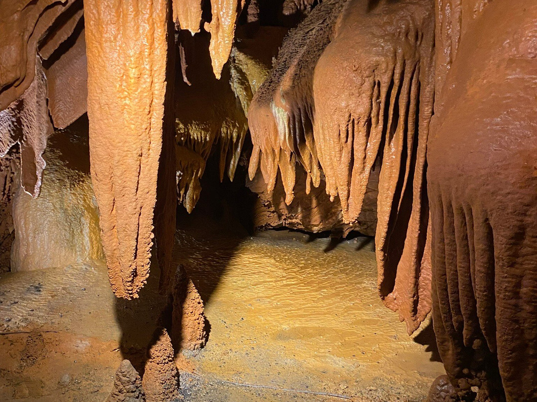 Shenandoah Caverns-Quicksburg必去景点