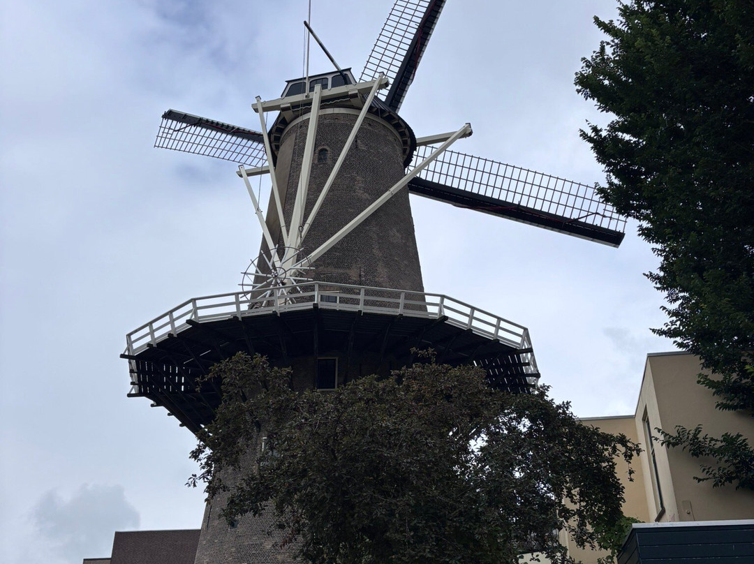 Red Lion Windmill (Molen De Roode Leeuw)-高德必去景点