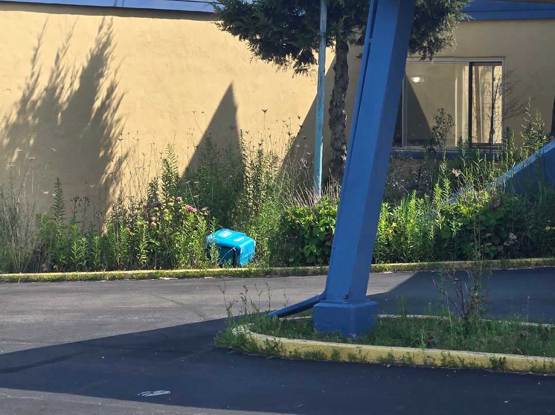 Baymont by Wyndham Bay City主图