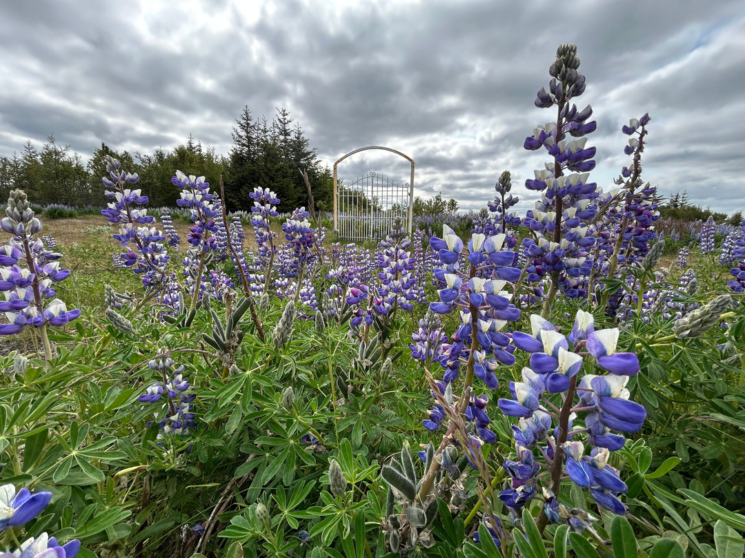 Keldur-海拉必去景点