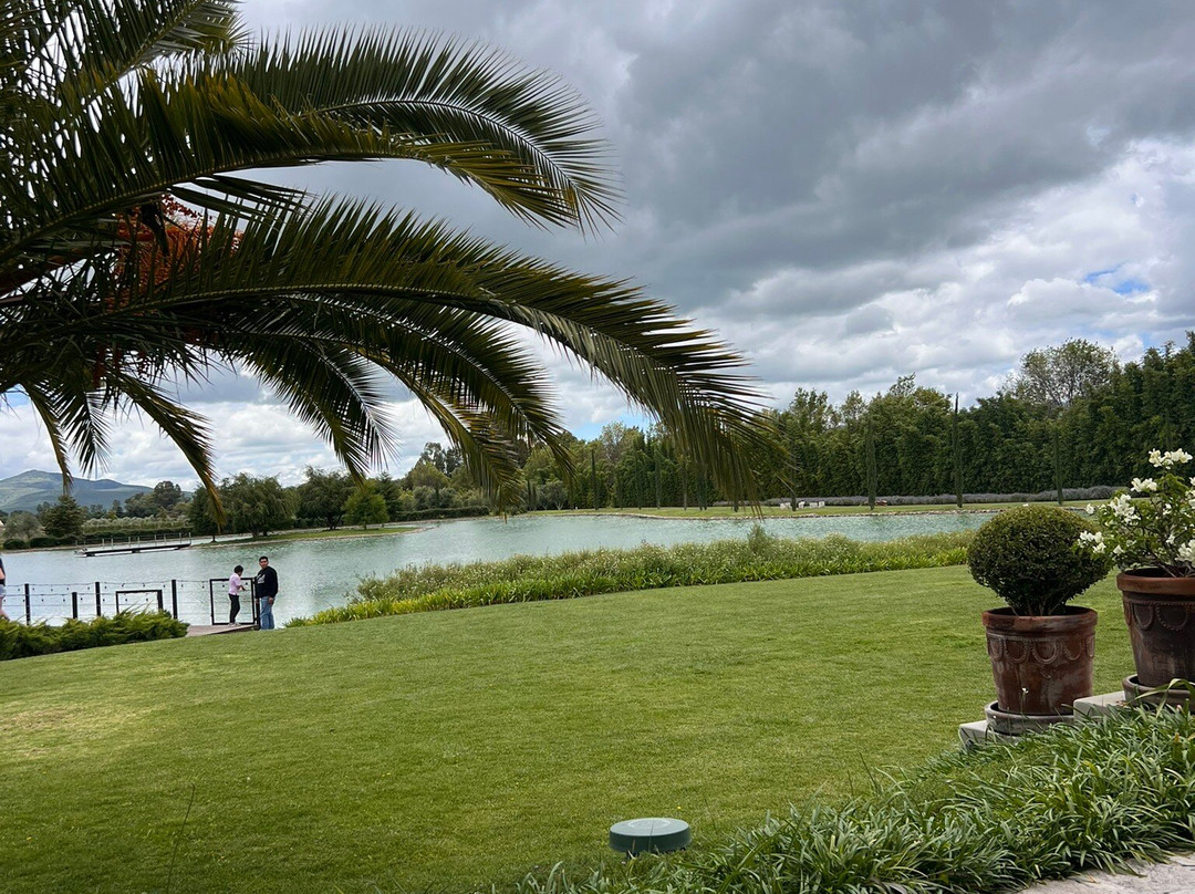 Viñedos Santa Catalina主图