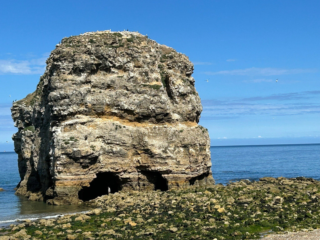 The Marsden Grotto-南希尔兹必去景点
