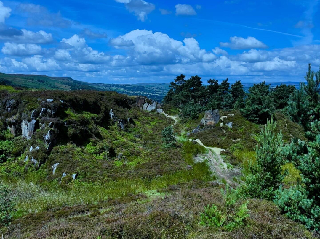 Ilkley Moor-伊尔克利必去景点
