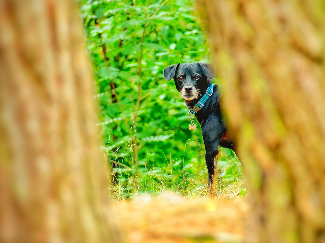 Zilvermeer-Mol必去景点