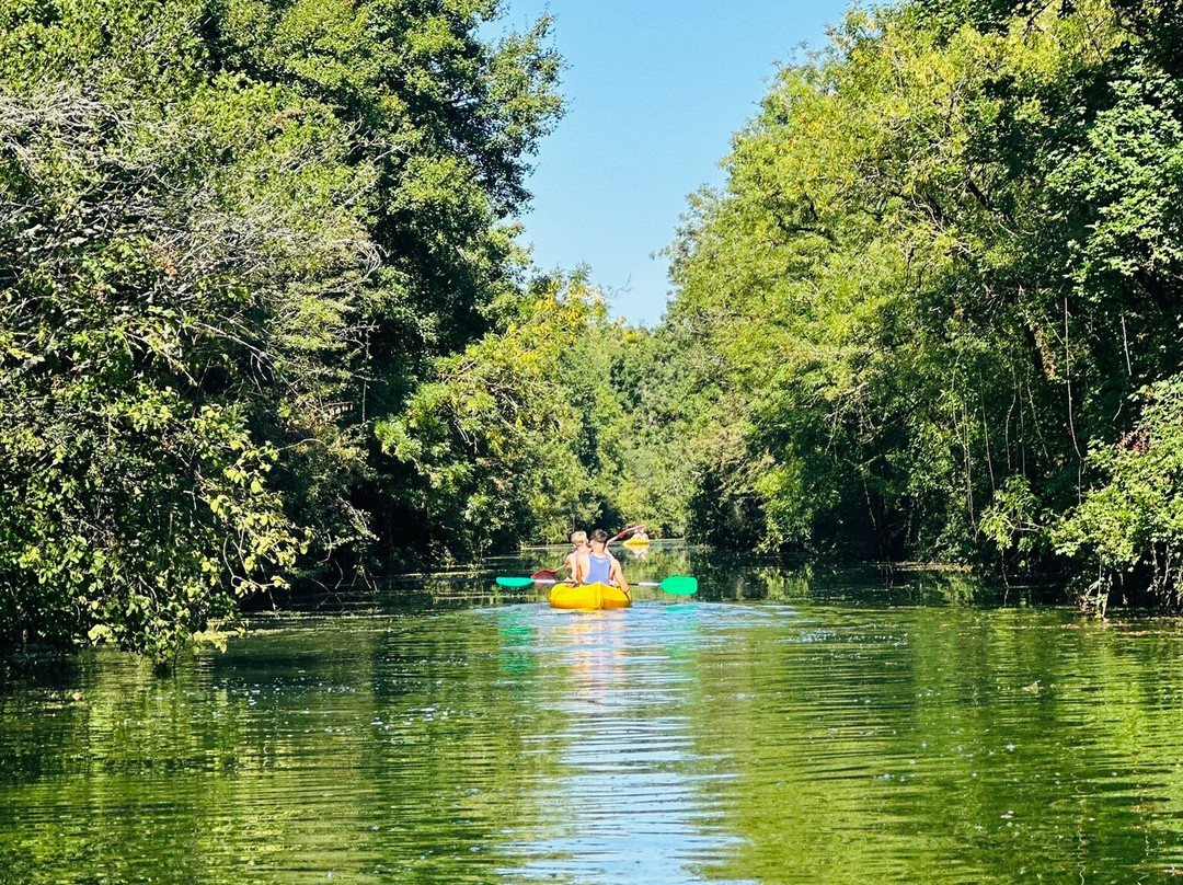 Canal Canoë-拉罗谢尔必去景点
