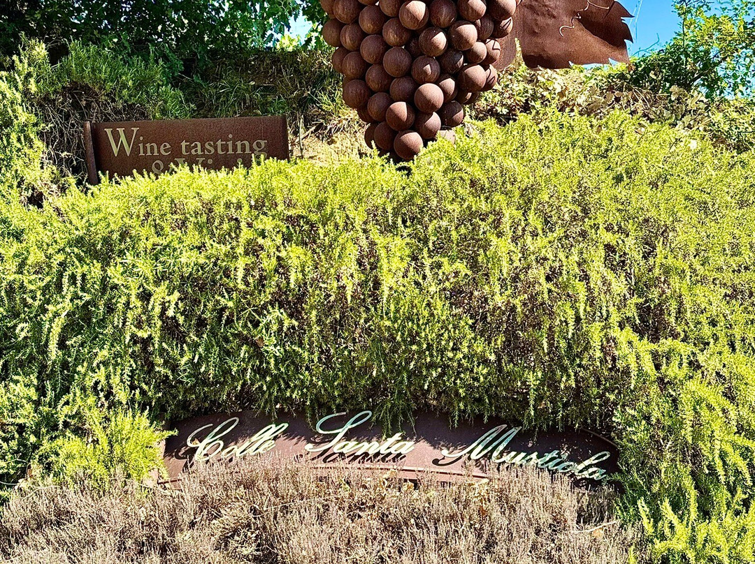 Colle Santa Mustiola-丘西必去景点