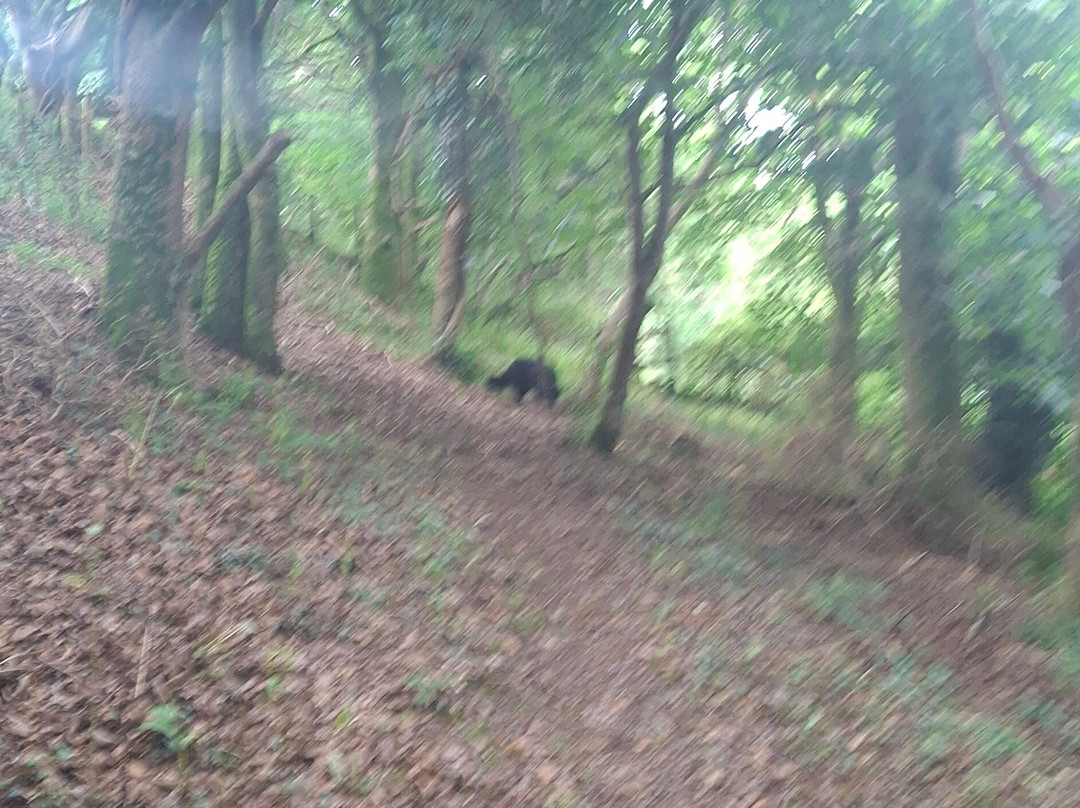 Kilkhampton to Coombe Valley-Kilkhampton必去景点