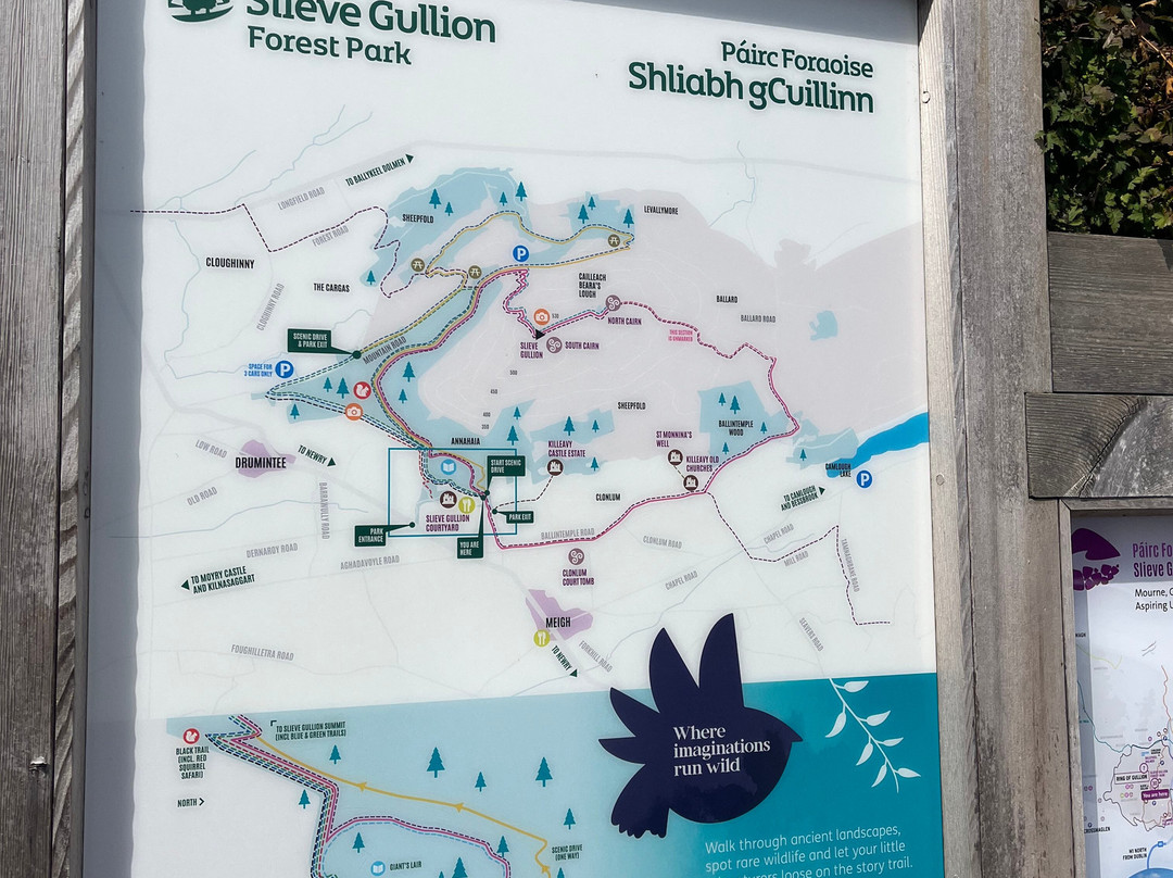 Slieve Gullion Forest Park-纽里必去景点