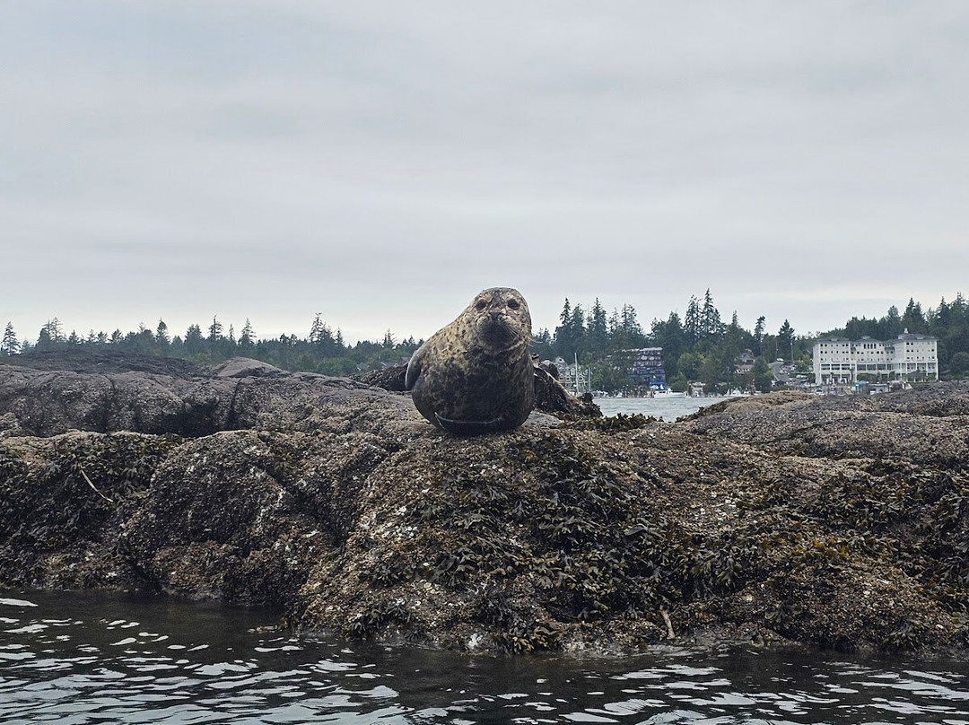 Mystic Beach Adventures Inc-苏克必去景点