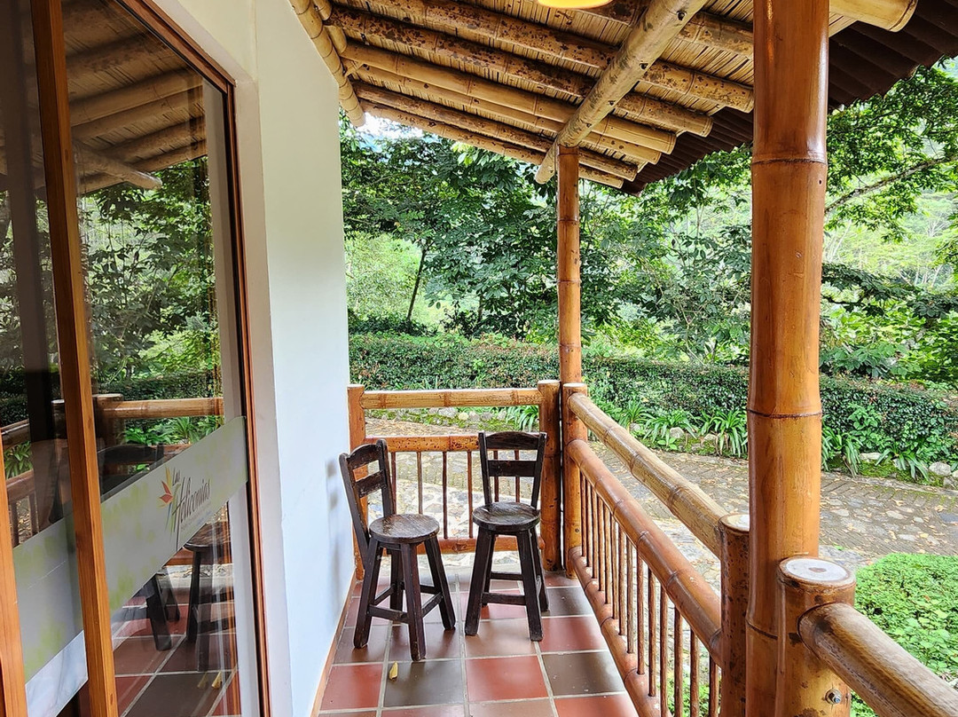 Hotel campestre las Heliconias主图