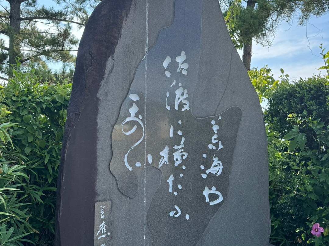Yoneyama SA Kudarisen-柏崎市必去景点