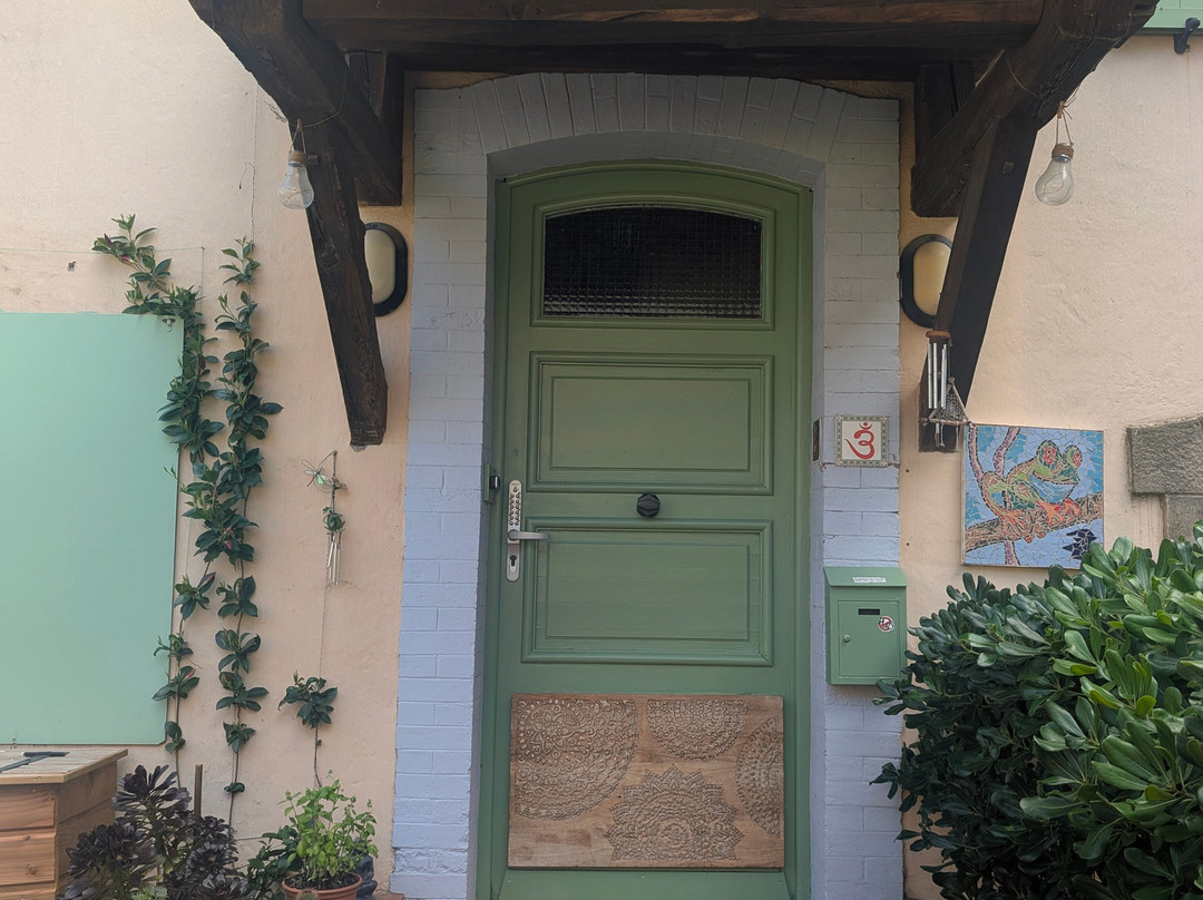 The Frogs' House主图