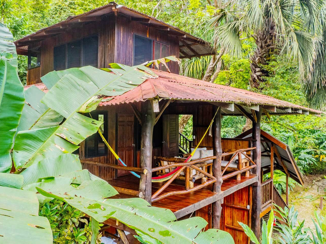 Encanta La Vida主图