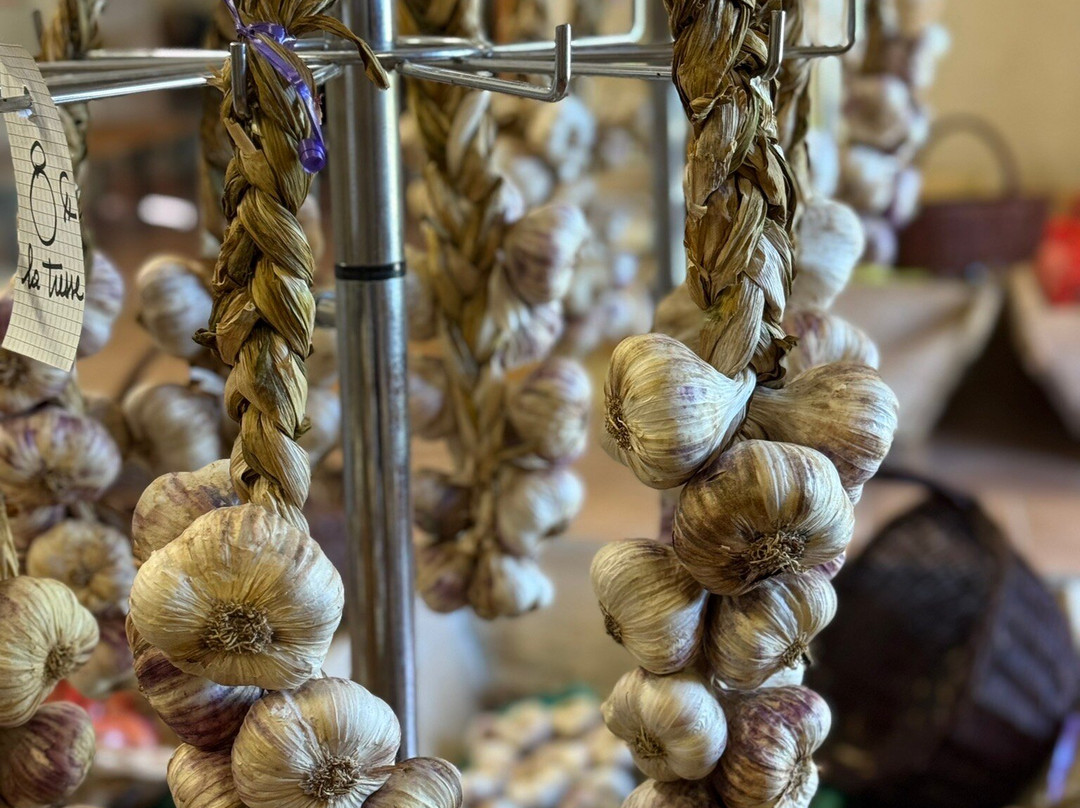 Maison De L’ail-Saint-Clar必去景点