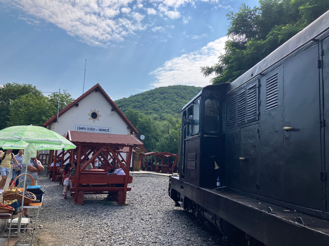 Mocaniţa Sovata-Sovata必去景点