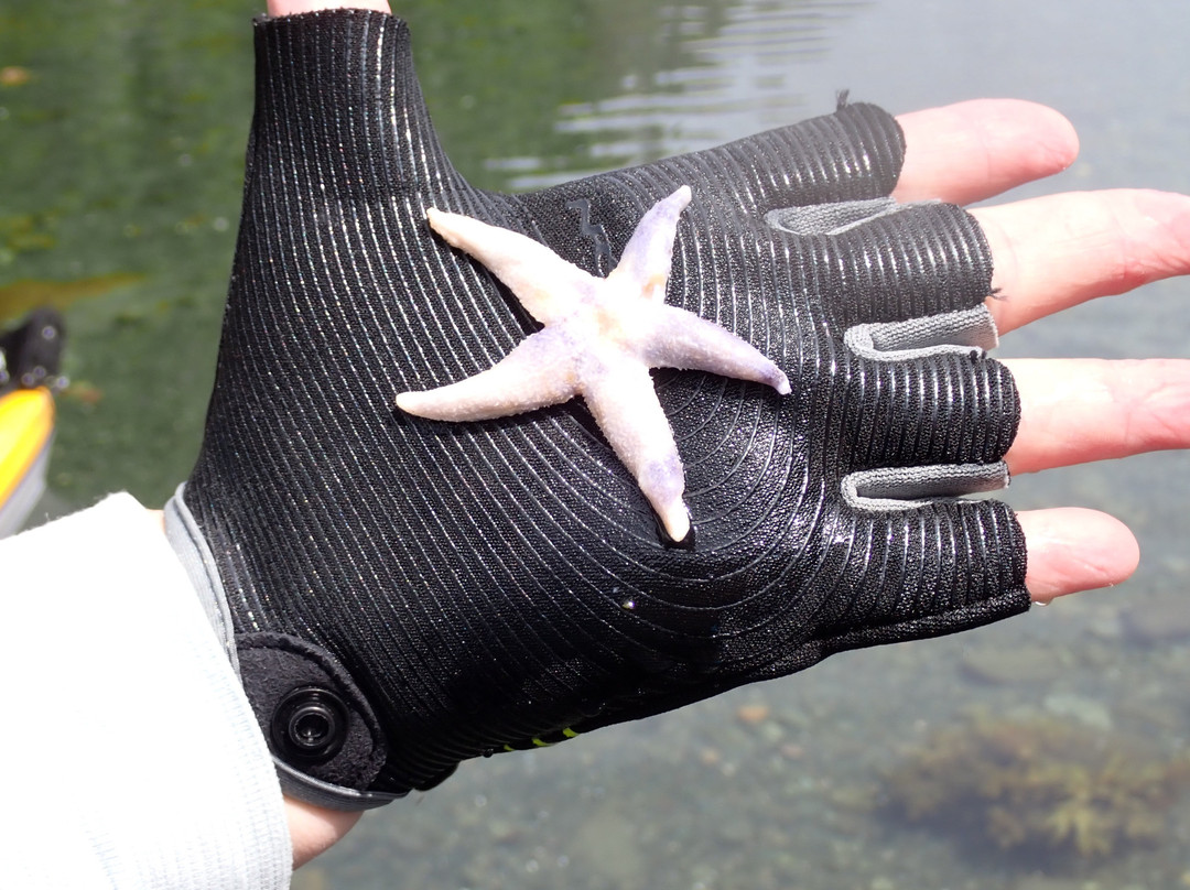 Adventures Newfoundland-Fortune Harbour必去景点