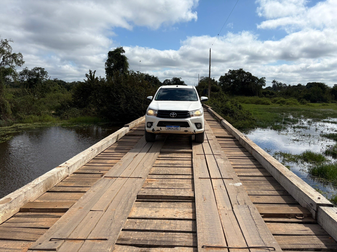 Pantanal Safaris-波科内必去景点
