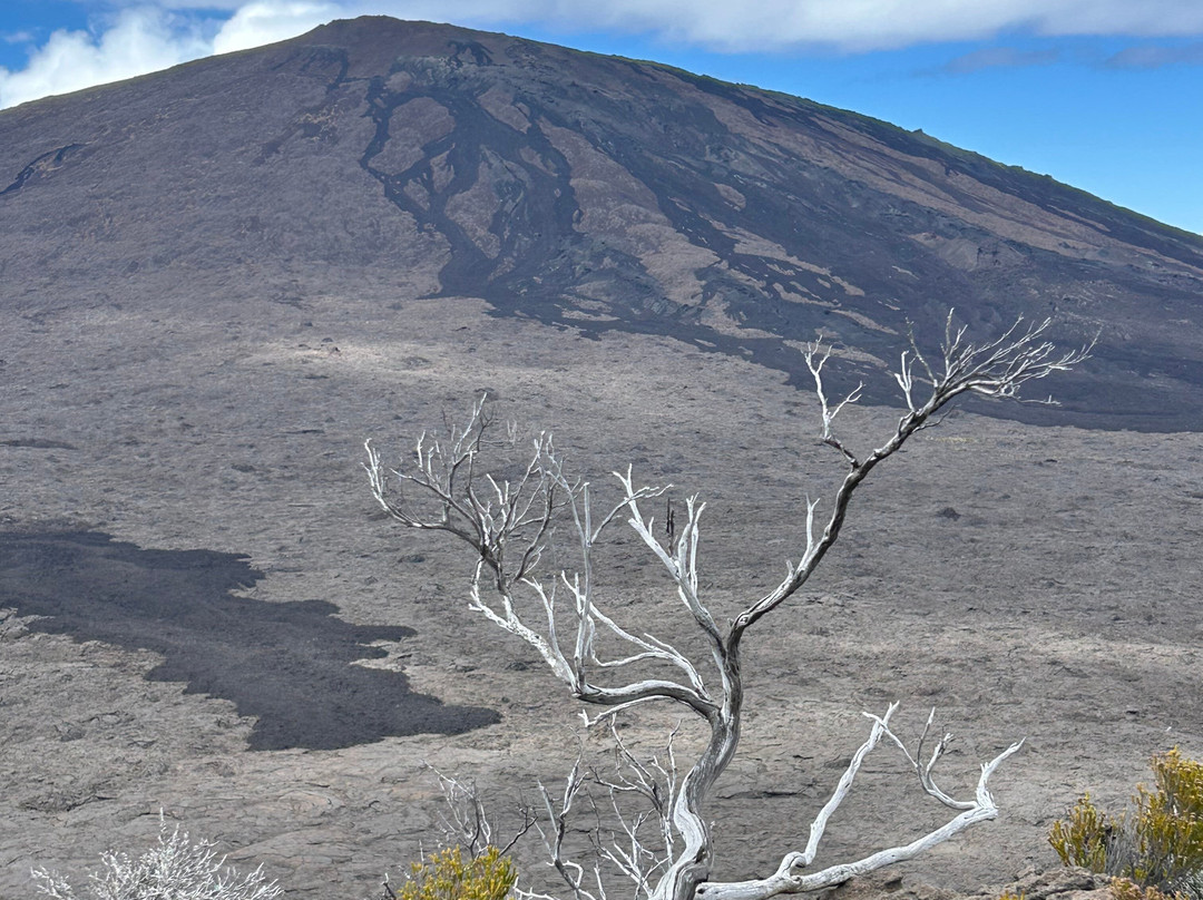 Envergure Réunion-Sainte-Suzanne必去景点