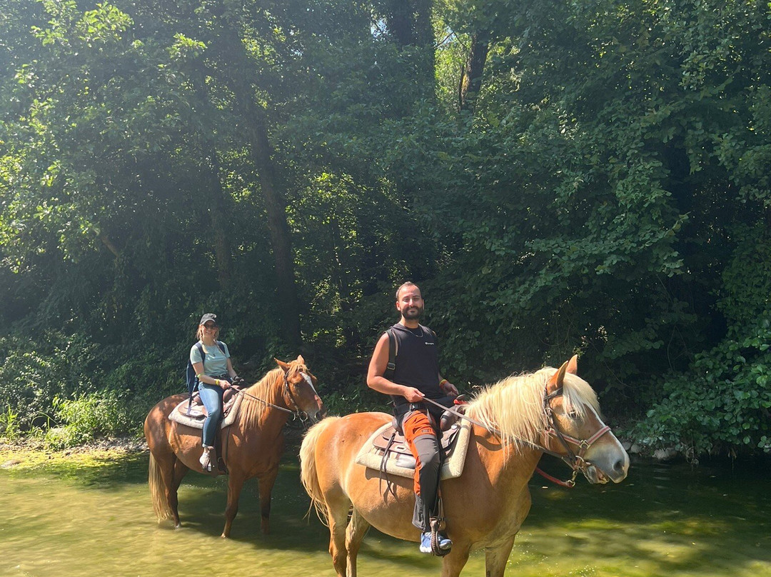 Cavalcando il Matese-Cusano Mutri必去景点