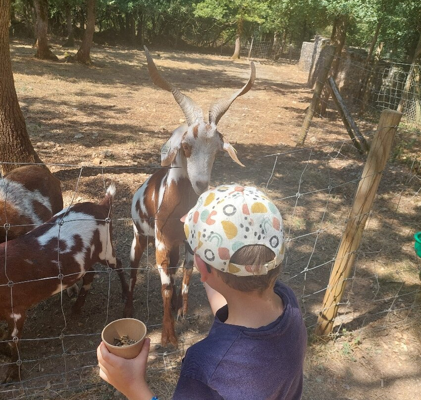 Parc Animalier de Gramat-Gramat必去景点