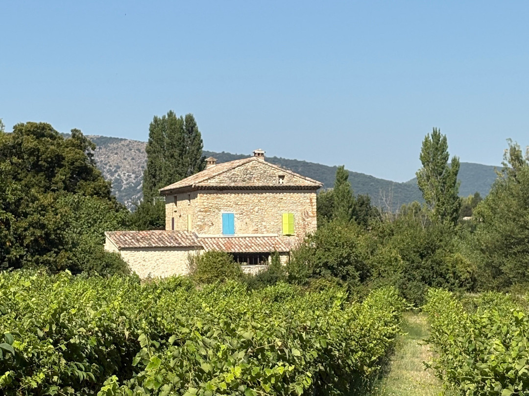 Sun-E-Bike-韦松拉罗迈纳必去景点