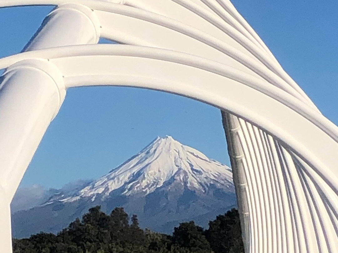 Te Rewa Rewa Bridge-新普利默斯必去景点