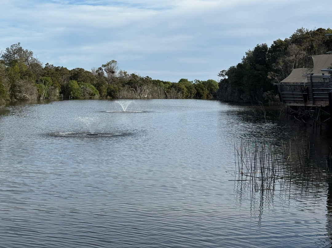 Metung Hot Springs-Metung必去景点