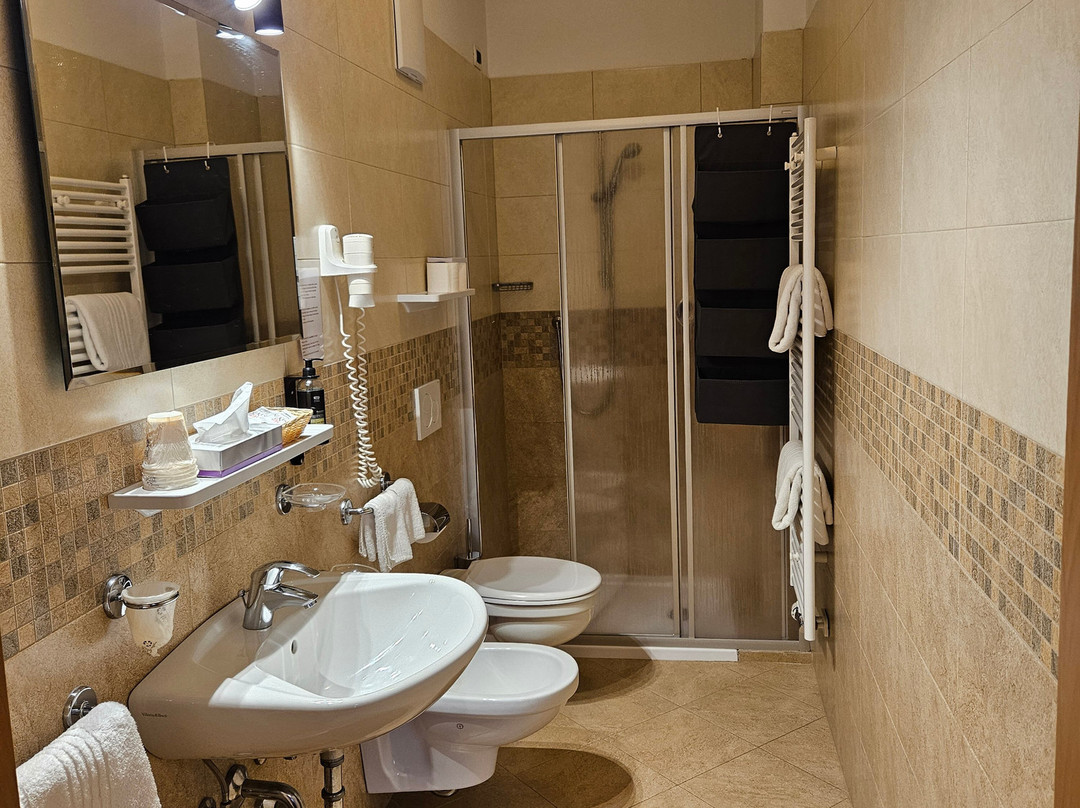 Laguscei Dolomites Mountain Hotel主图