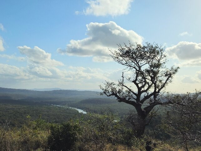 iMfolozi Game Reserve-Mtubatuba必去景点