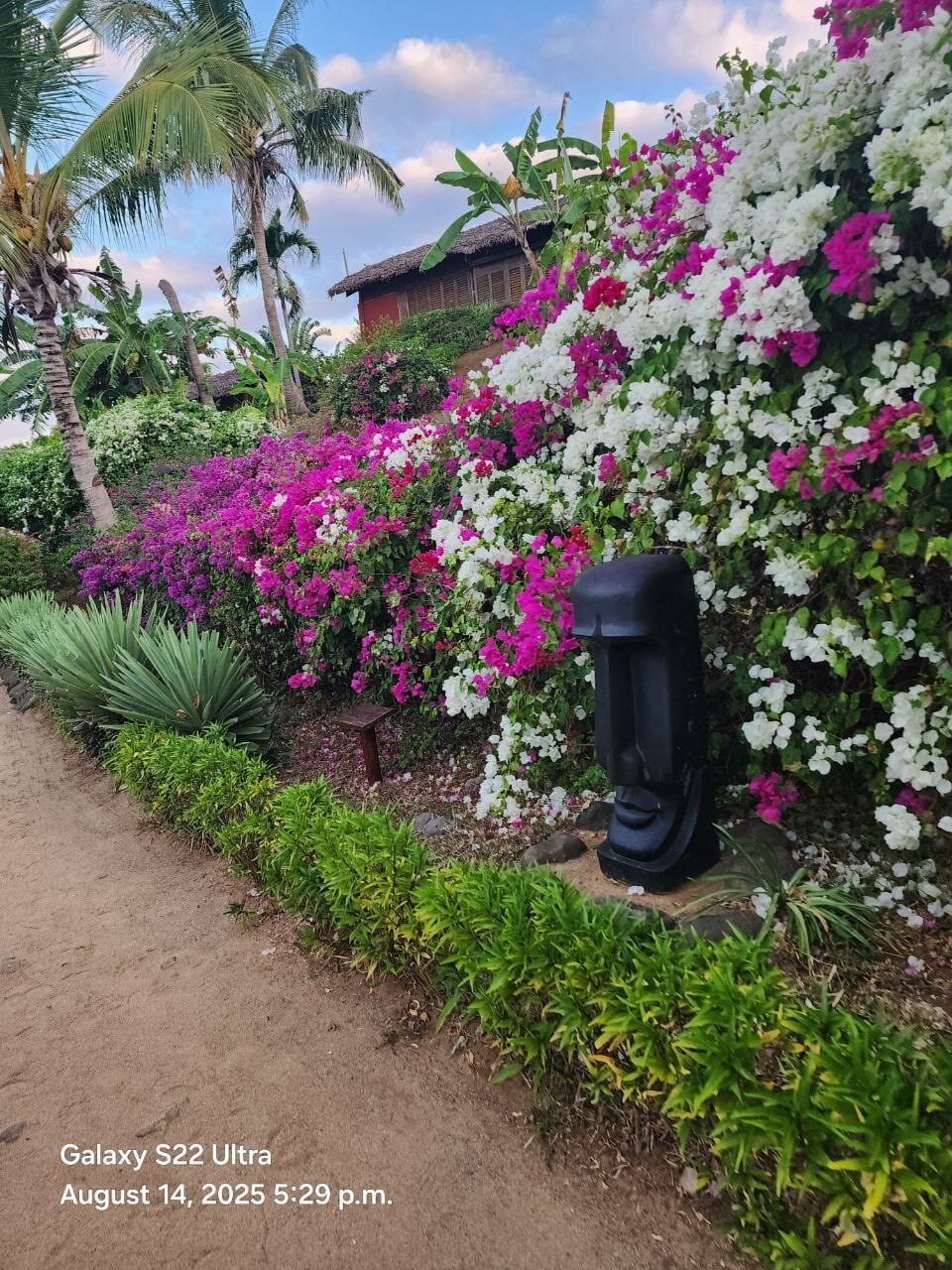 芒加索艾旅馆-官方