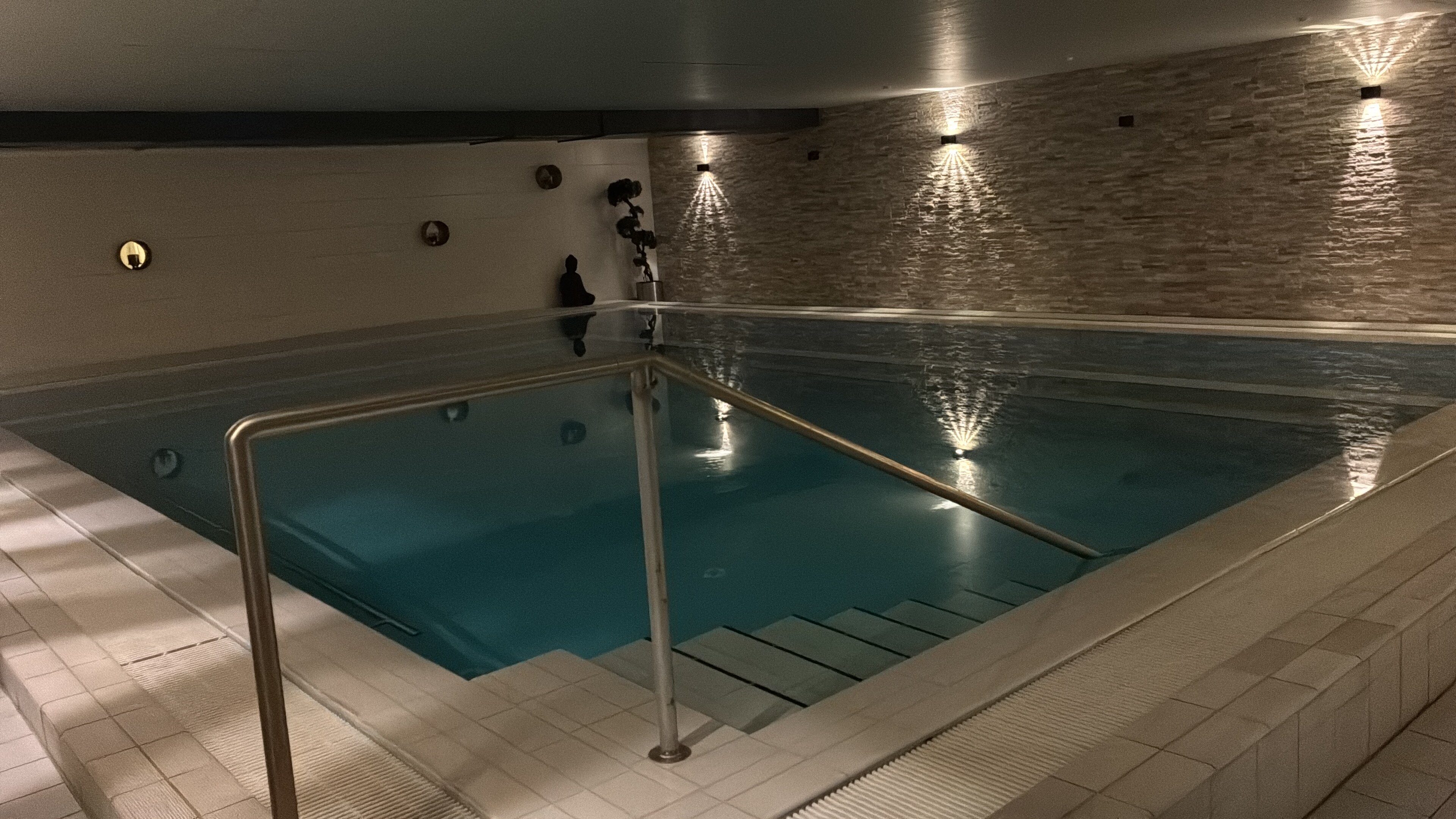 Aqualux Wellness & Tagungshotel-泳池