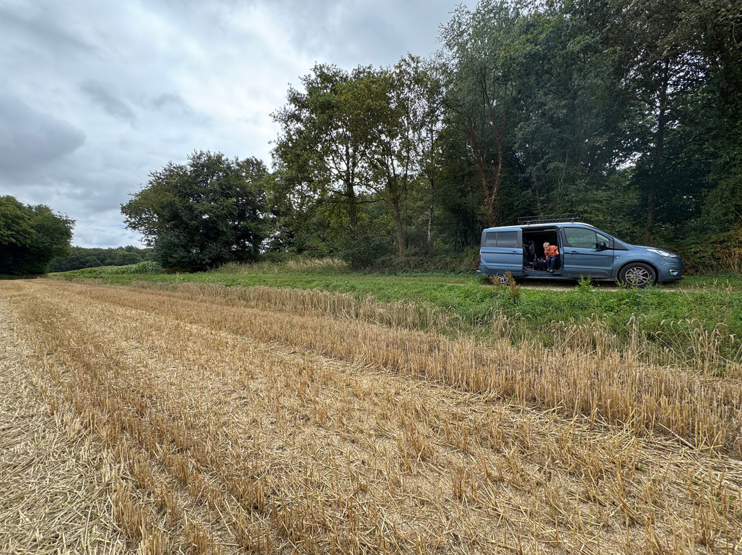 Le Domaine de Kervallon主图