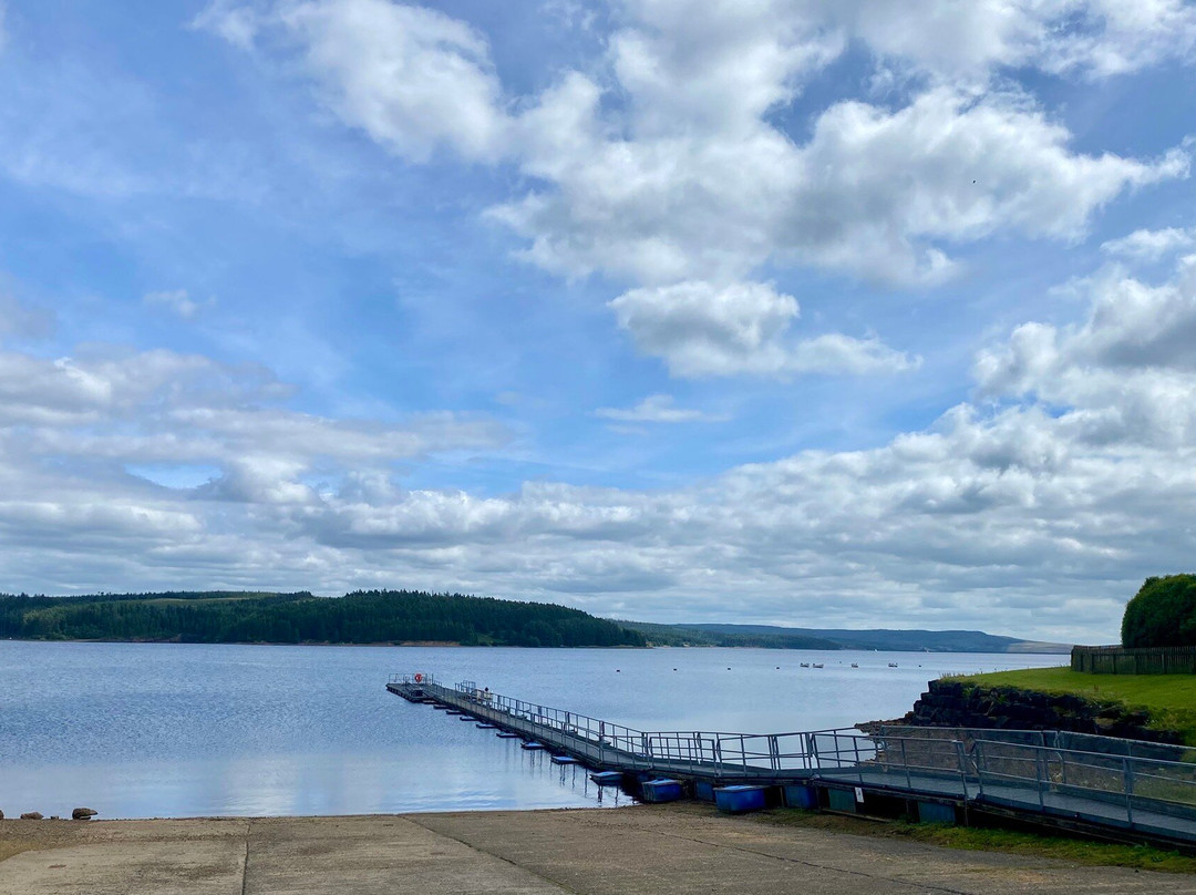 Kielder Water Bird of Prey Centre-Kielder必去景点
