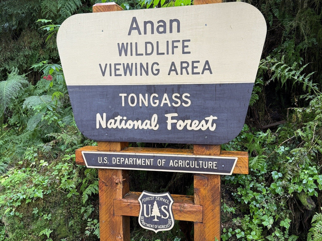 Muddy Water Adventures-Wrangell必去景点